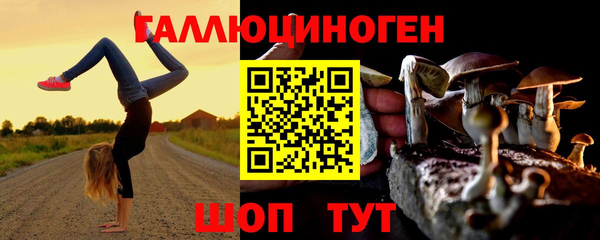Хабаровск  Галлюциногенные грибы ЛСД  Псилоцибиновые грибы Psilocybine cubensis  Вход с VPN 